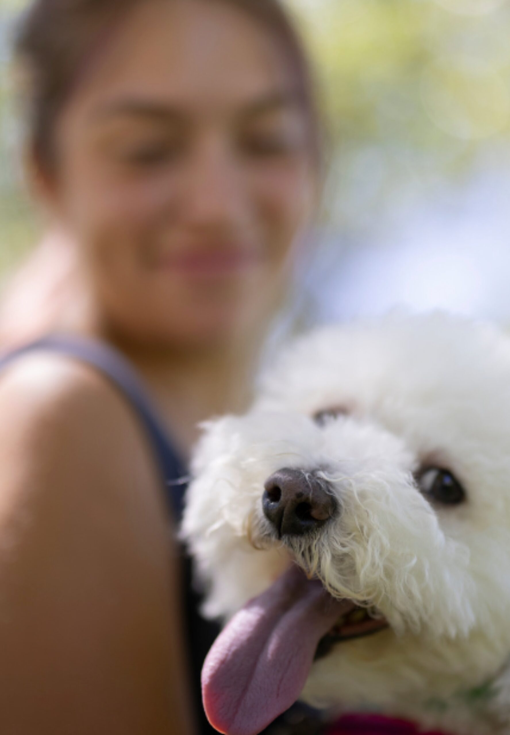 Happy smiles, wagging tails