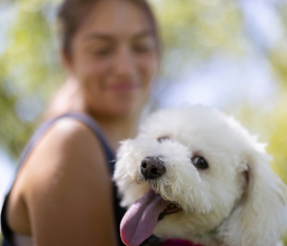 Happy smiles, wagging tails