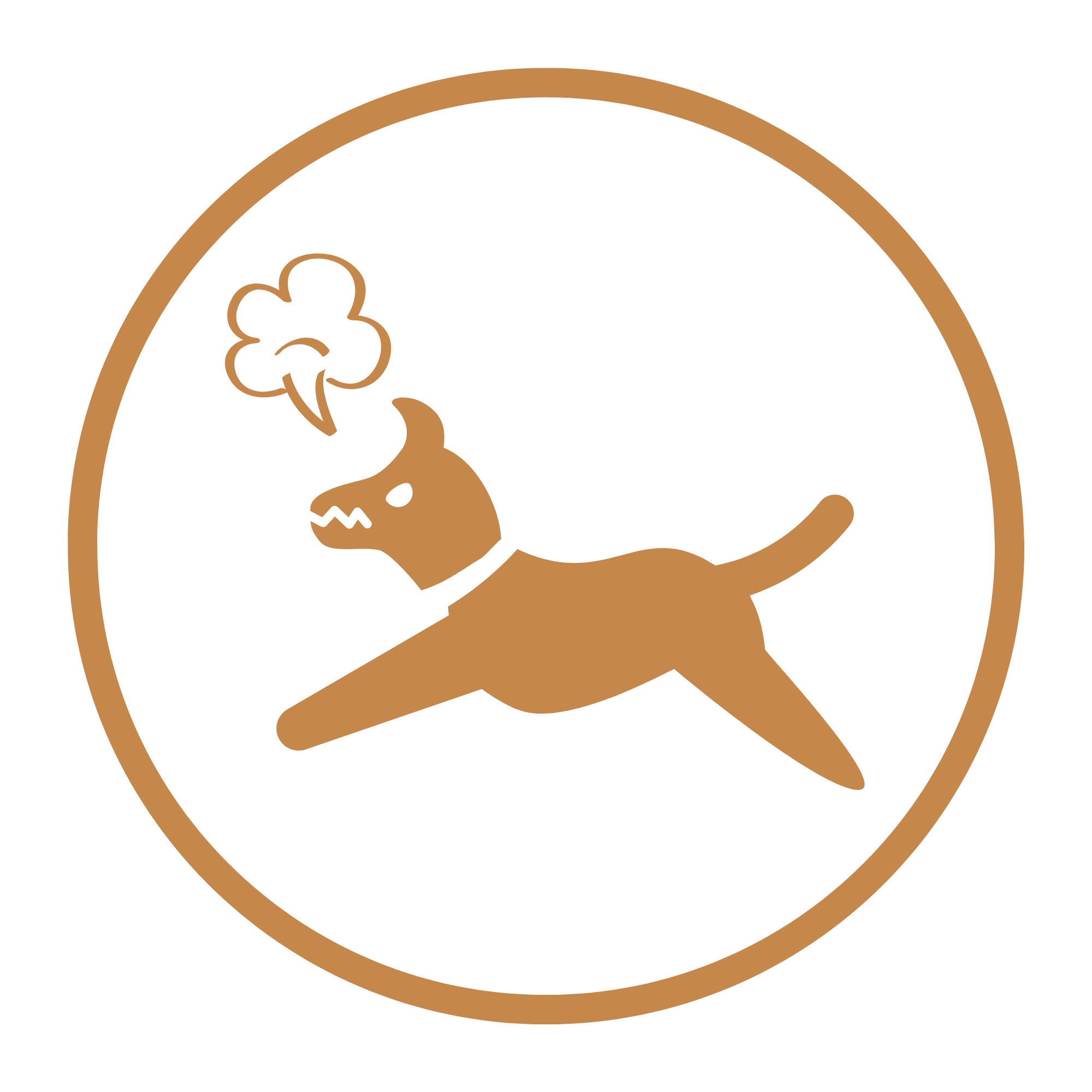 No aggressive dogs allowed