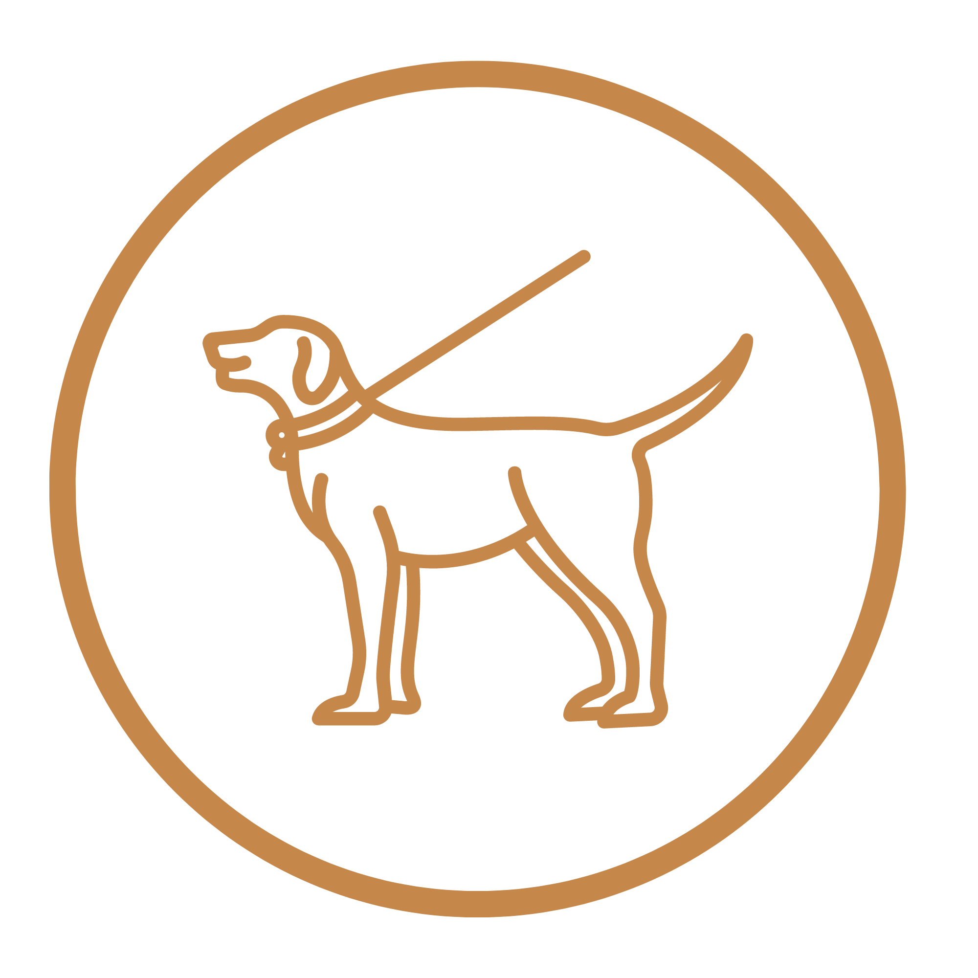 Requirements for special breed