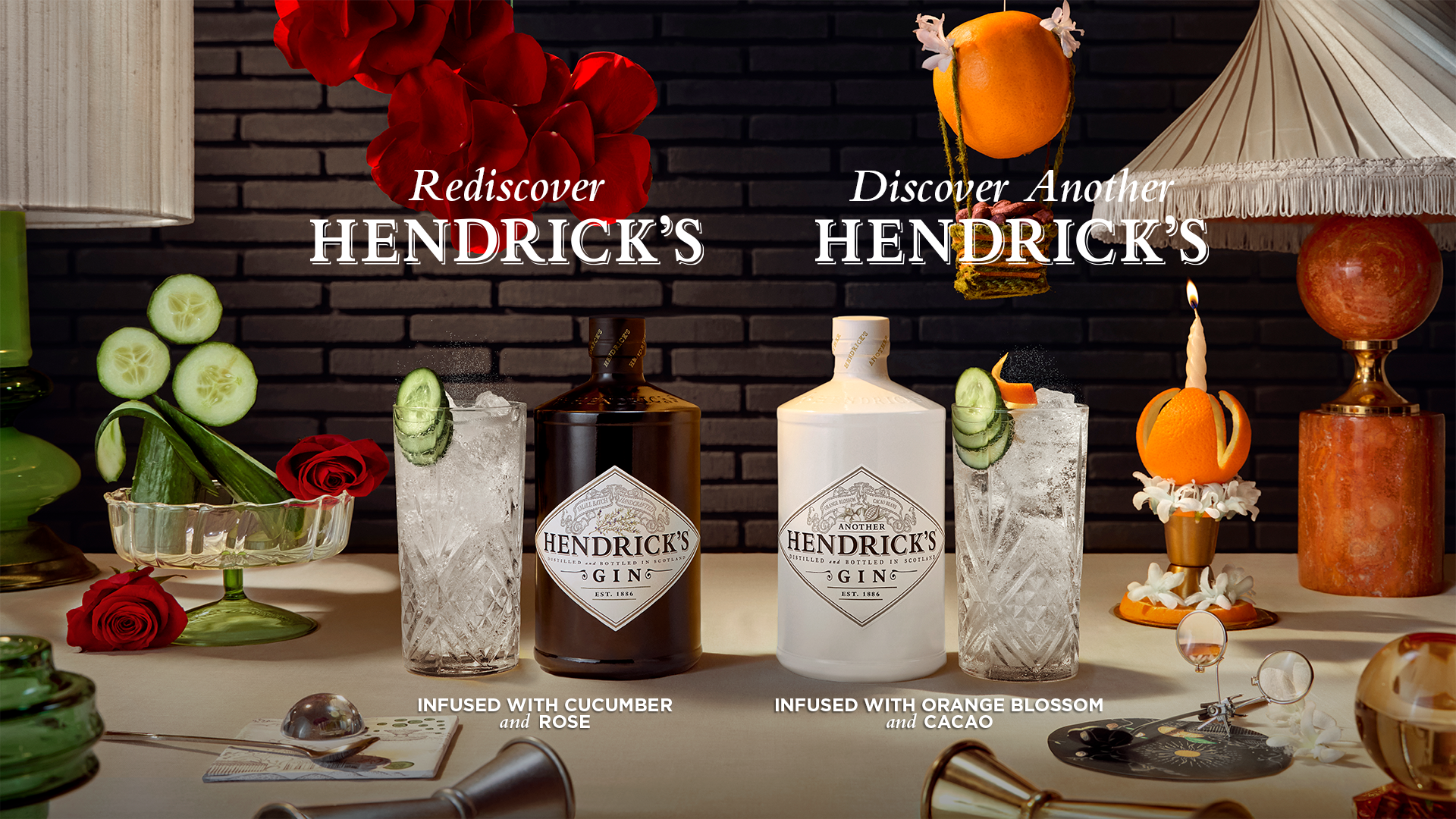 Hendrick’s Anotherland at +Twelve